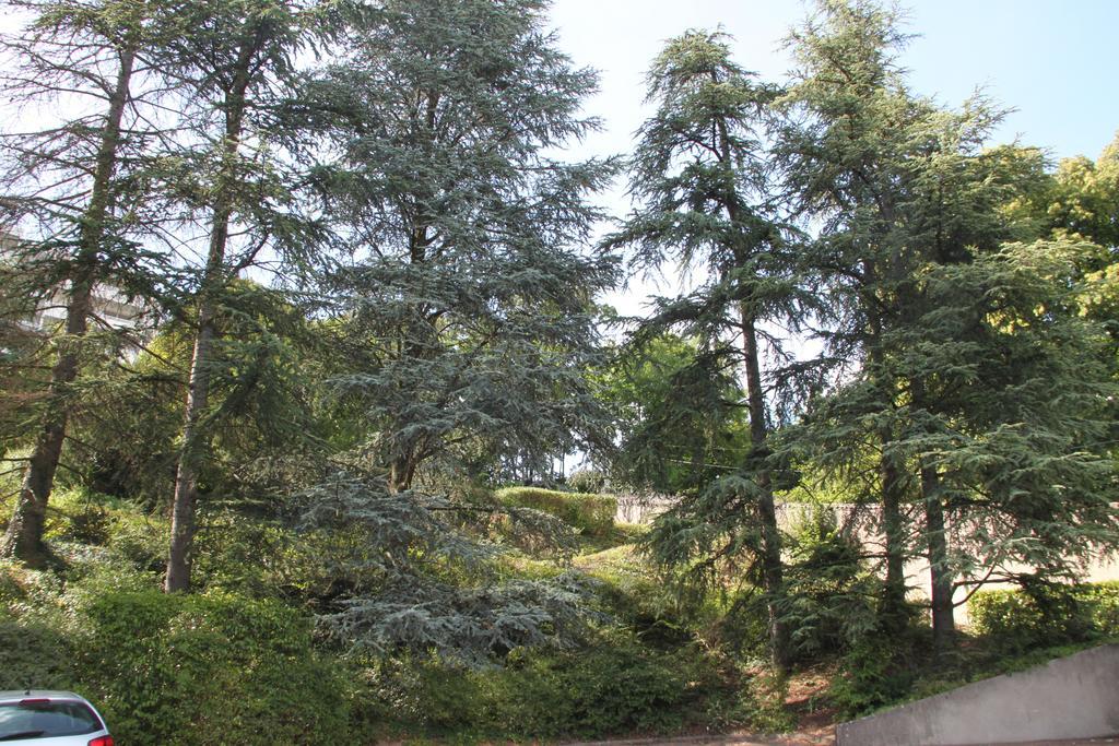 Les Hauts De Perrache Bed & Breakfast Sainte-Foy-lès-Lyon Dış mekan fotoğraf
